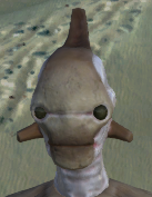 Screenshot 2025-08-14 201444.png