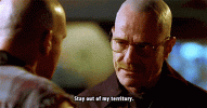 ffg.gif