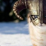 Dovahkiin Cat