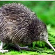 Kiwi™