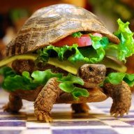 Turtleburger
