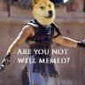 Shibemus Memerus™